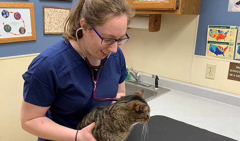 莫妮卡·史蒂芬，18岁 with cat